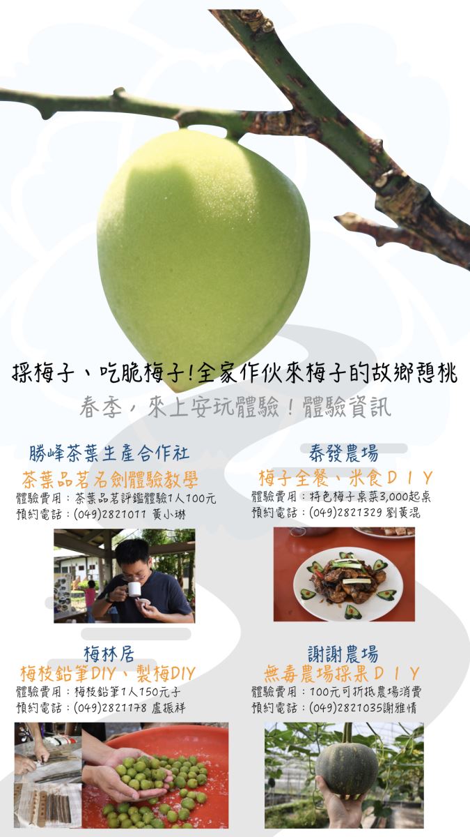 上安社區內的槑休閒農業區提供了數種遊程供民眾選擇與安排。